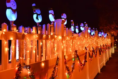 DSC_5769 (Large).JPG